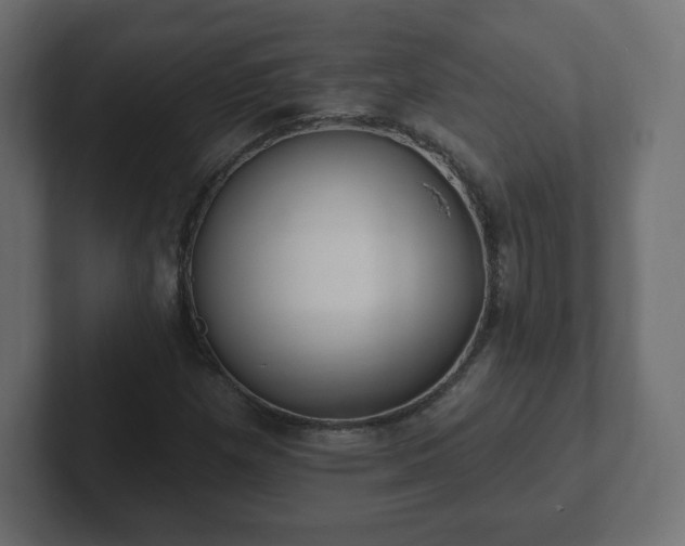 X0000103171257200808291503