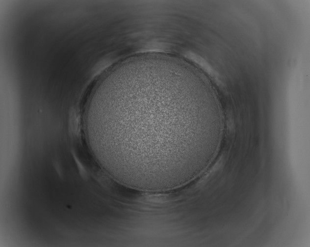 X0000103171258200808291503