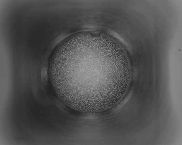 X0000103171259200808291503