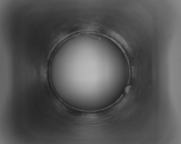 X0000103171260200808291503