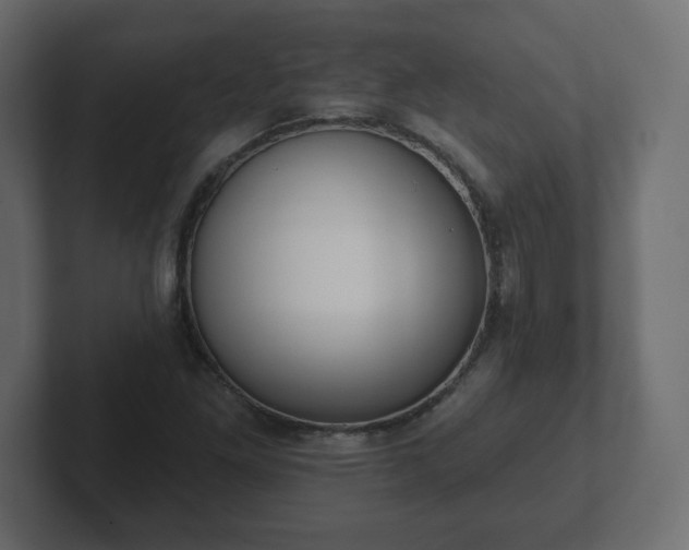 X0000103171261200808291503