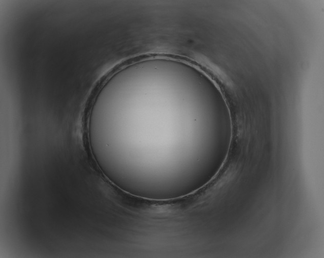 X0000103171264200808291503