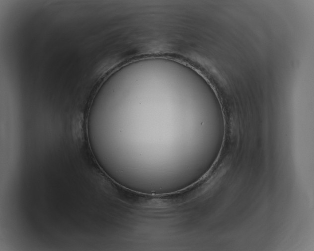 X0000103171265200808291503