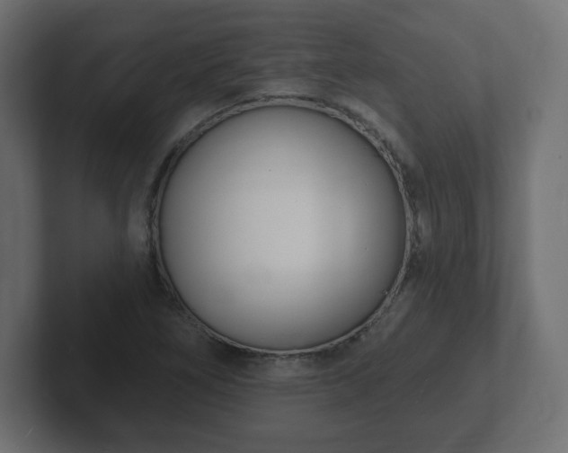 X0000103171266200808291503