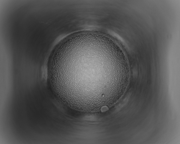 X0000103171267200808291503