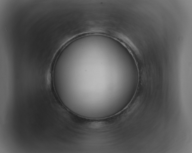 X0000103171268200808291503