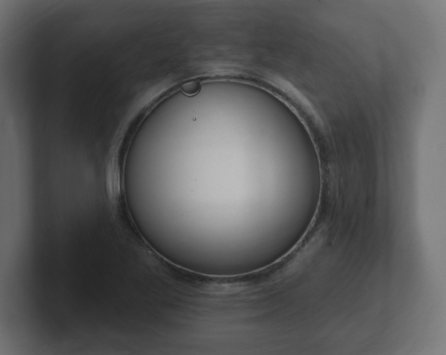 X0000103171269200808291503