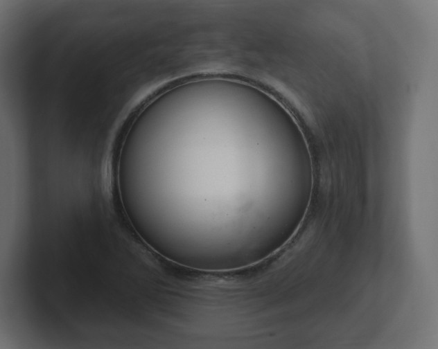 X0000103171270200808291503