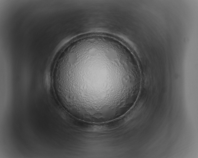 X0000103171271200808291503