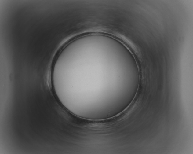 X0000103171272200808291503