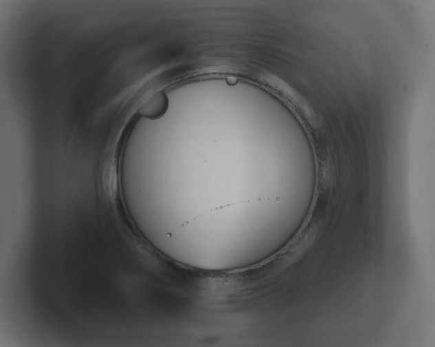 X0000103171274200808291503