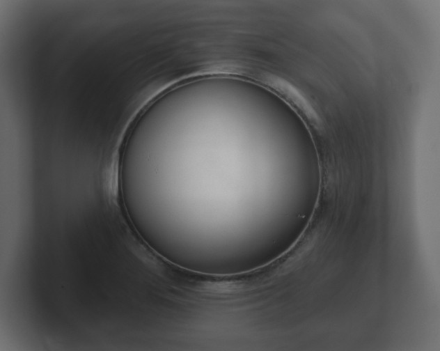 X0000103171276200808291503