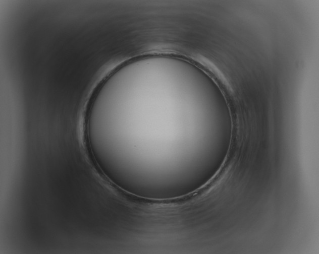 X0000103171277200808291503