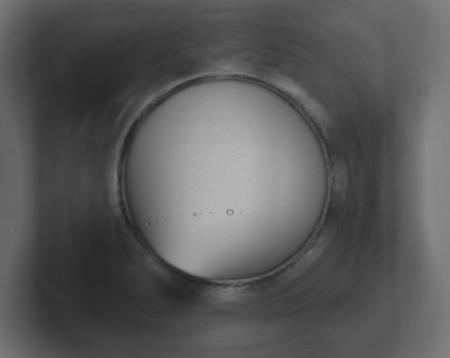 X0000103171278200808291503