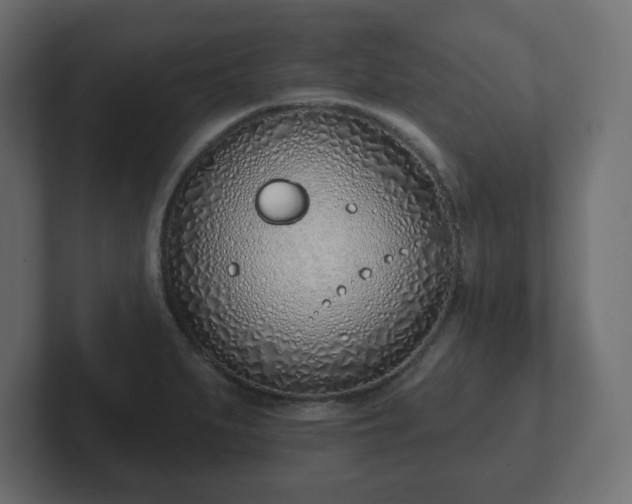 X0000103171279200808291503