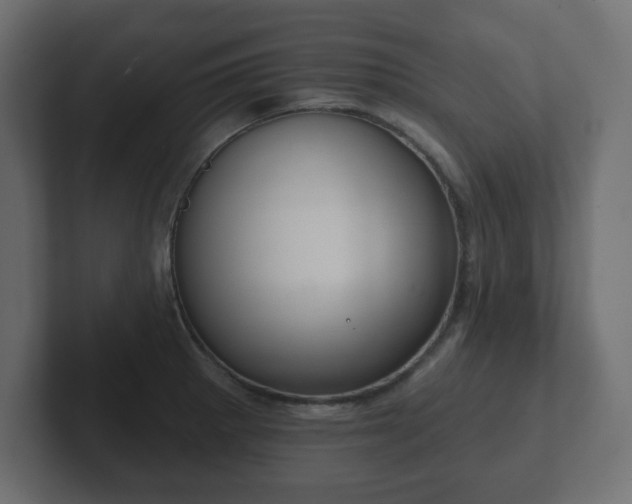 X0000103171281200808291503