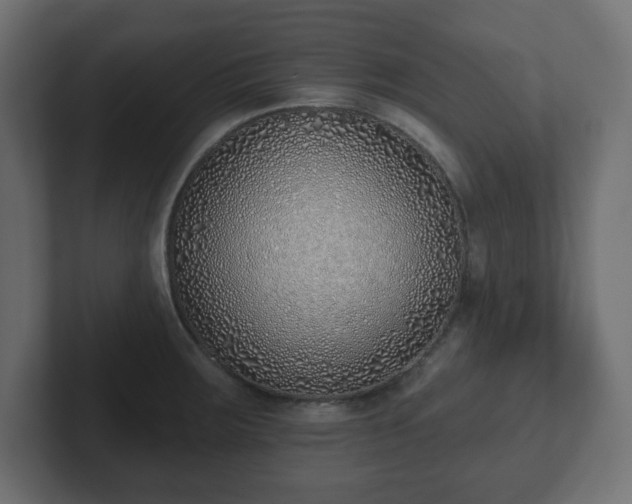 X0000103171283200808291503