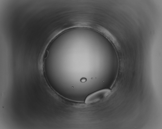 X0000103171284200808291503