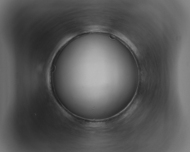 X0000103171285200808291503