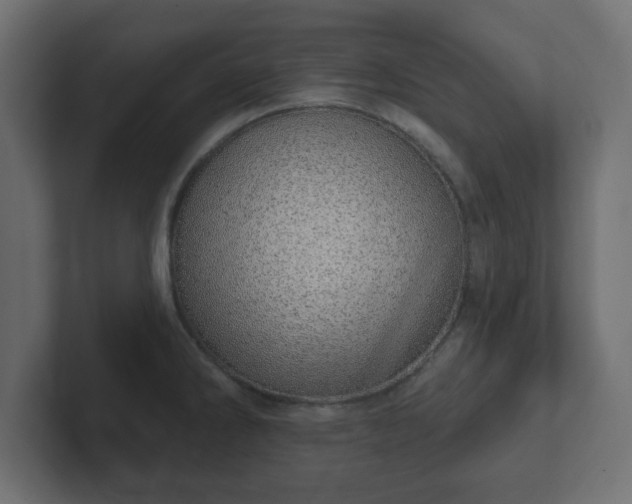 X0000103171286200808291503