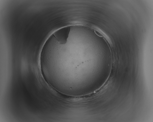 X0000103171291200808291503