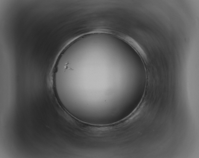 X0000103171292200808291503