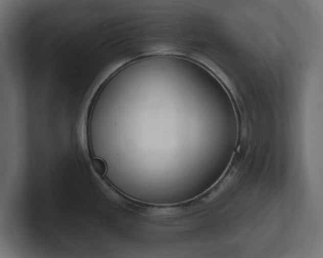 X0000103171293200808291503