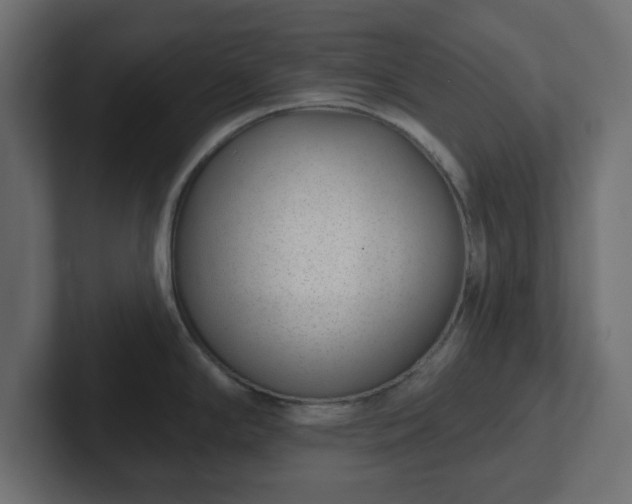 X0000103171294200808291503