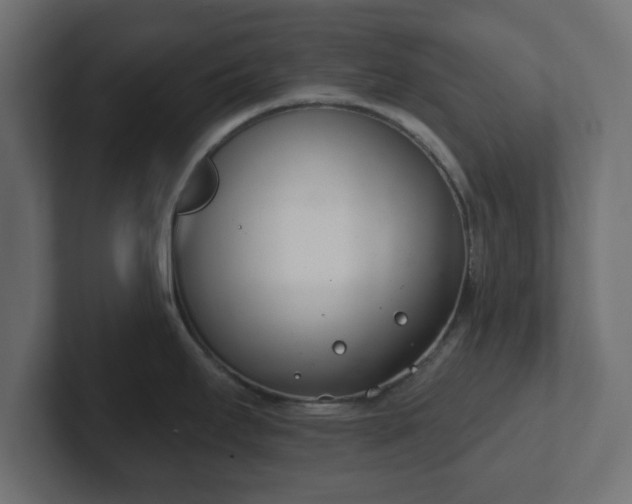 X0000103171295200808291503