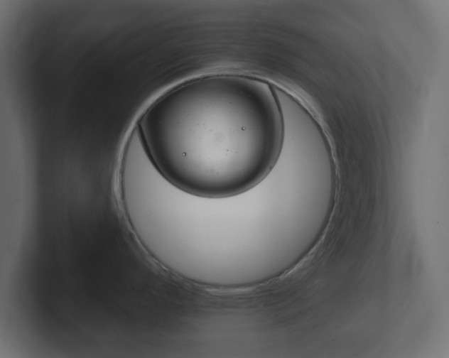 X0000103171296200808291503