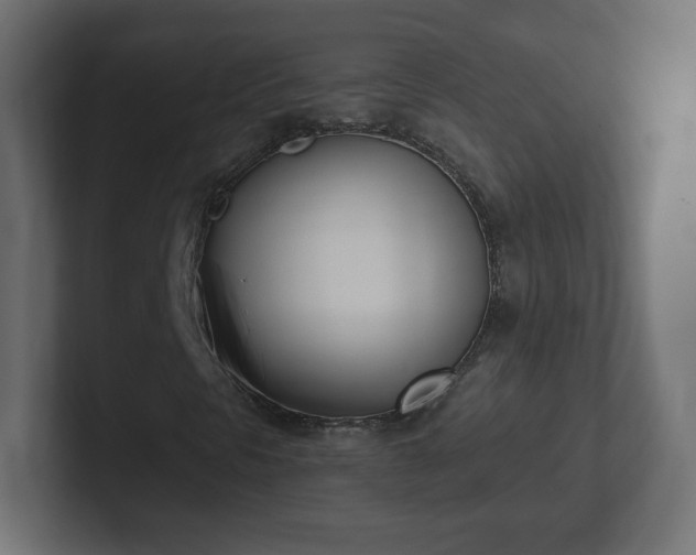 X0000103171297200808291502