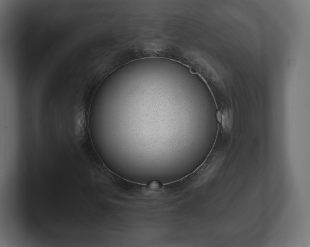 X0000103171299200808291502