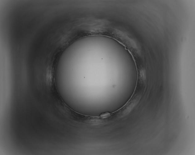 X0000103171300200808291502