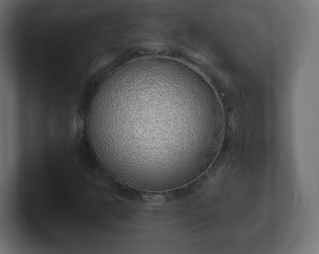 X0000103171302200808291502