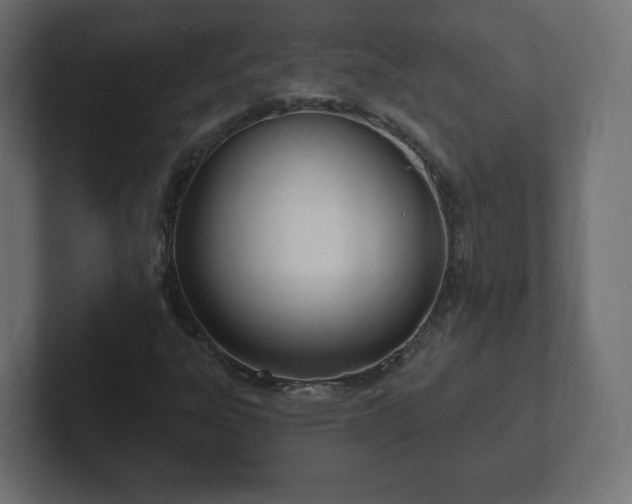 X0000103171303200808291502