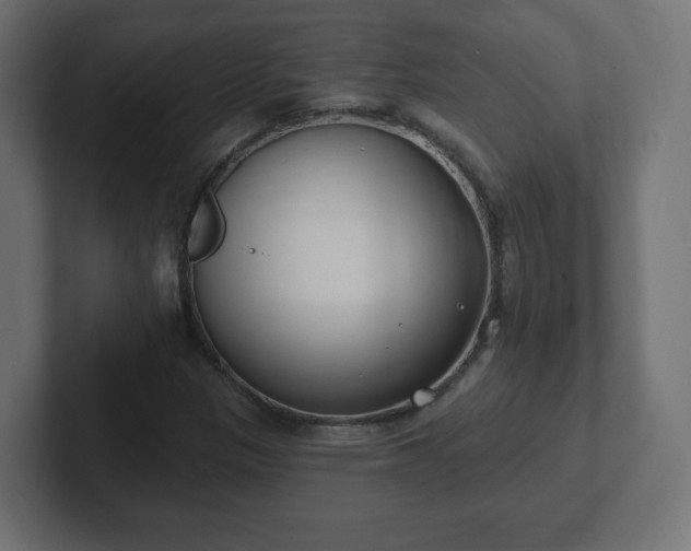 X0000103171305200808291502