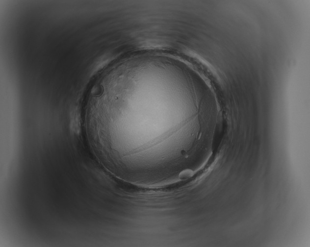 X0000103171306200808291502