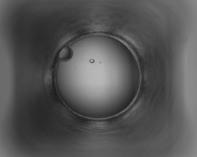 X0000103171309200808291502