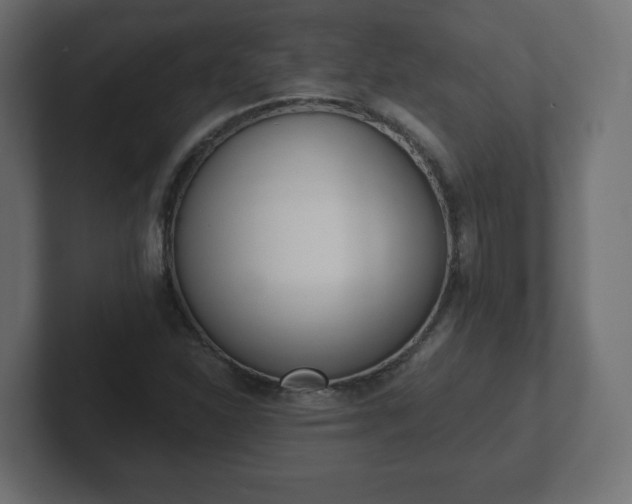 X0000103171310200808291502