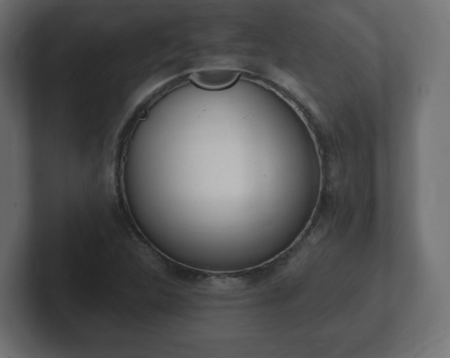 X0000103171312200808291502