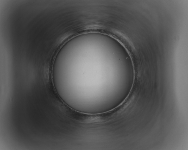 X0000103171313200808291502