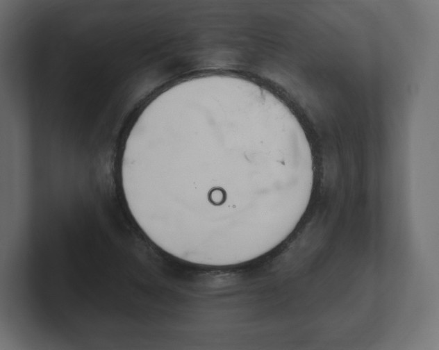 X0000103171314200808291502