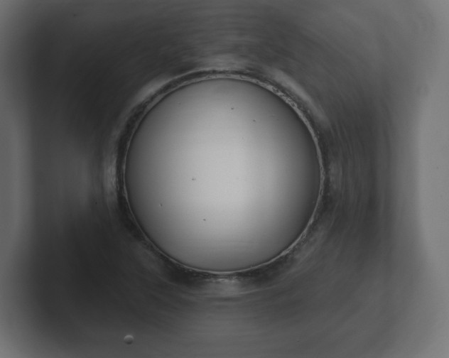 X0000103171315200808291502