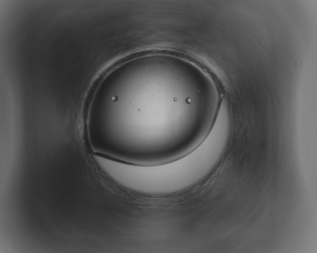 X0000103171316200808291502