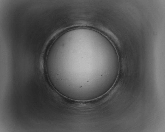 X0000103171318200808291502