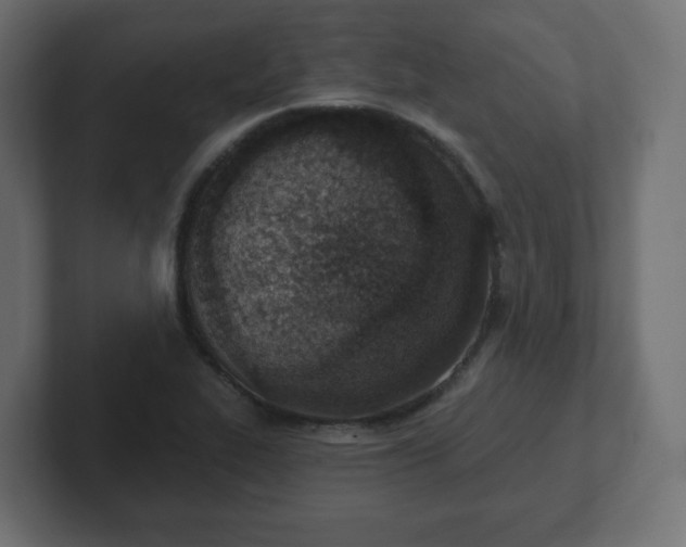 X0000103171319200808291502