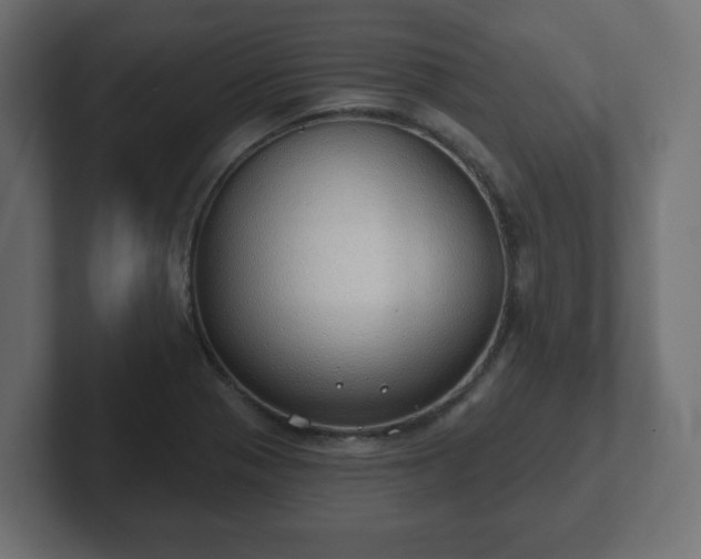 X0000103171321200808291502