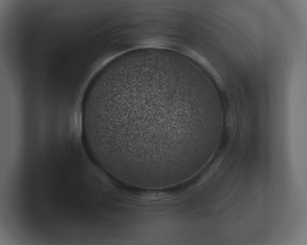 X0000103171323200808291502