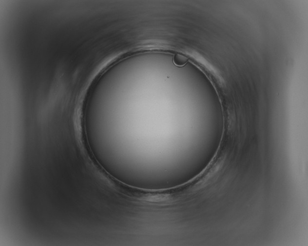 X0000103171325200808291502