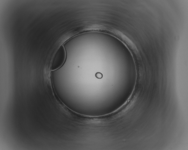 X0000103171329200808291502